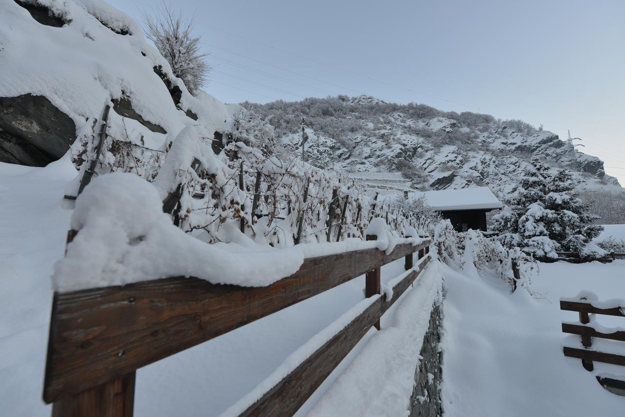 Au Berceau Du Bien-Etre Villa Chambave Luaran gambar